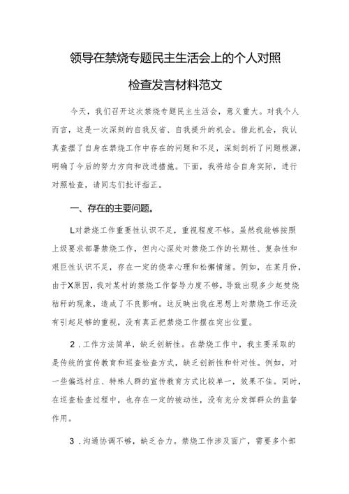 领导在禁烧专题民主生活会上的个人对照检查发言材料范文.docx