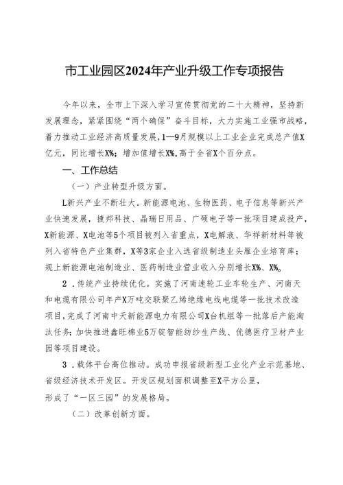市工业园区2024年产业升级工作专项报告.docx