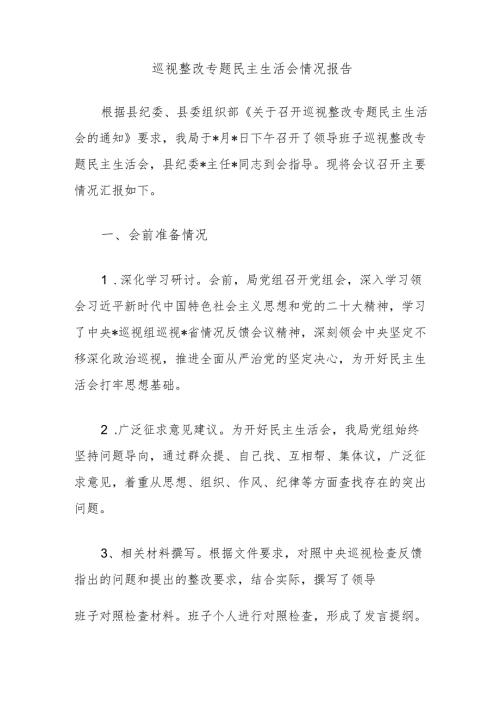 巡视整改专题民主生活会情况报告.docx