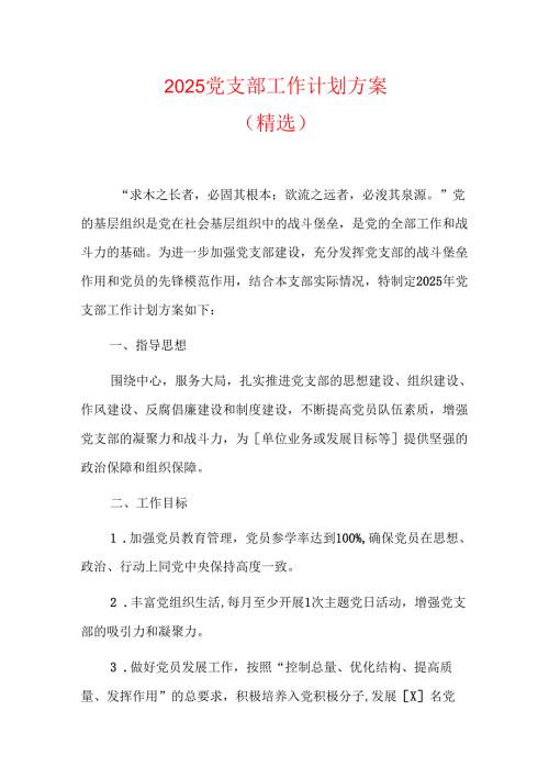 2025党支部工作计划方案（精选）.docx