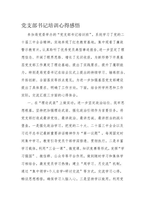 党支部书记培训心得感悟.docx