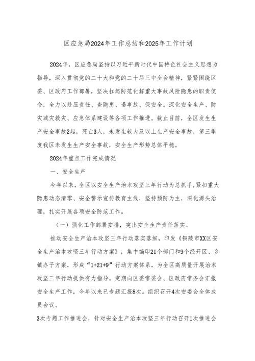区应急局2024年工作总结和2025年工作计划.docx