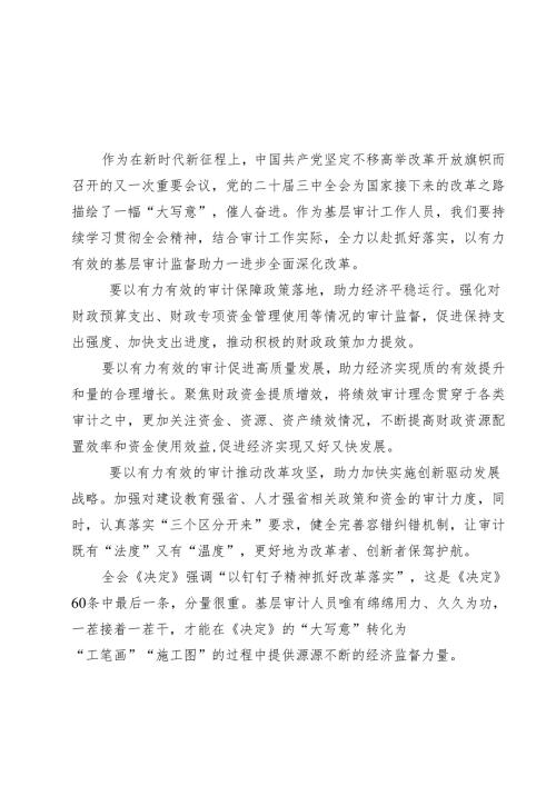 (四篇)基层审计工作人员学习二十届三中全会精神心得体会范文.docx