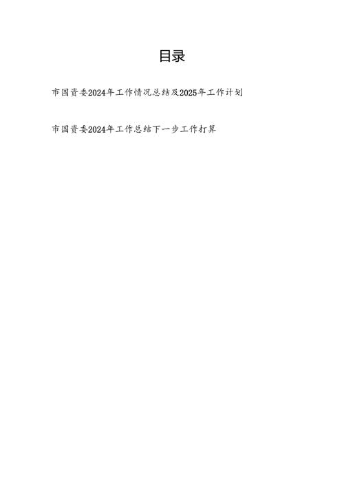 2024年市国资委工作情况总结及2025年工作计划下一步工作打算2篇.docx