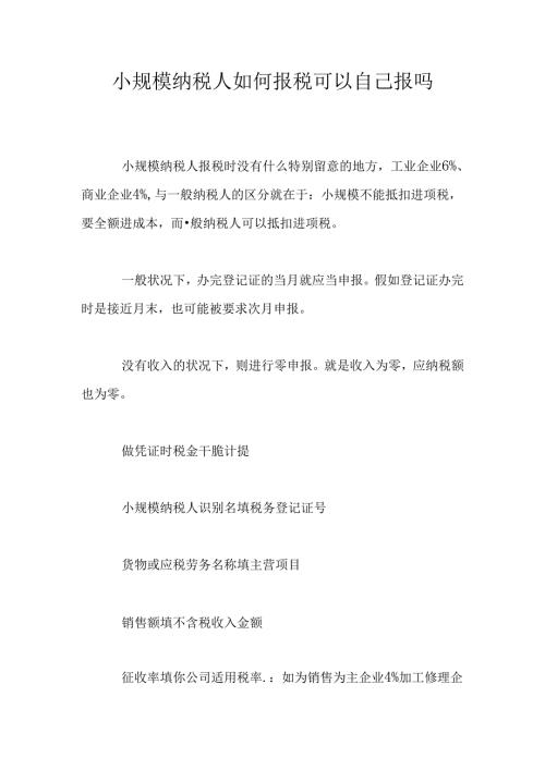 小规模纳税人如何报税可以自己报吗.docx