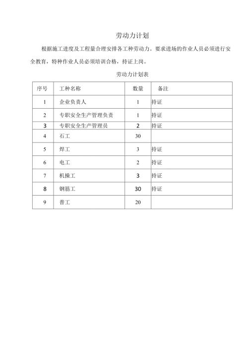 劳动力计划.docx