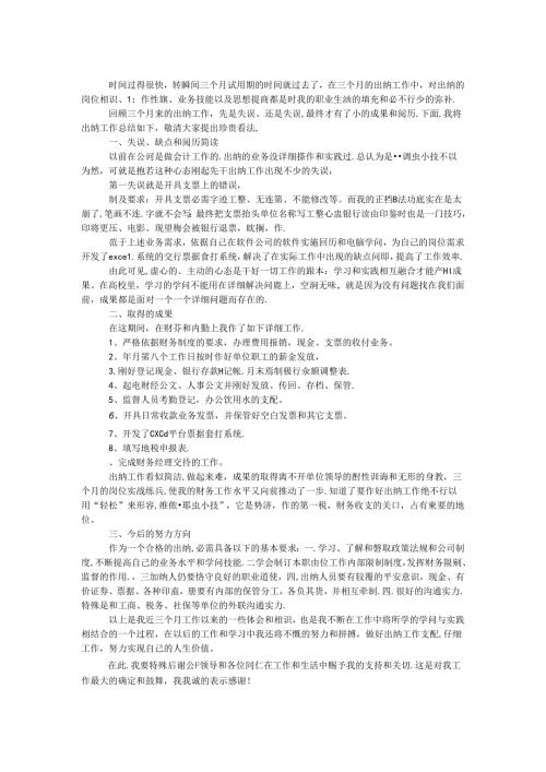 出纳试用期工作总结.docx