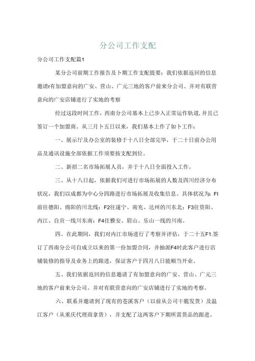 分公司工作计划.docx