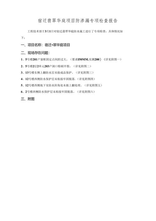 宿迁项目专项检查报告.docx