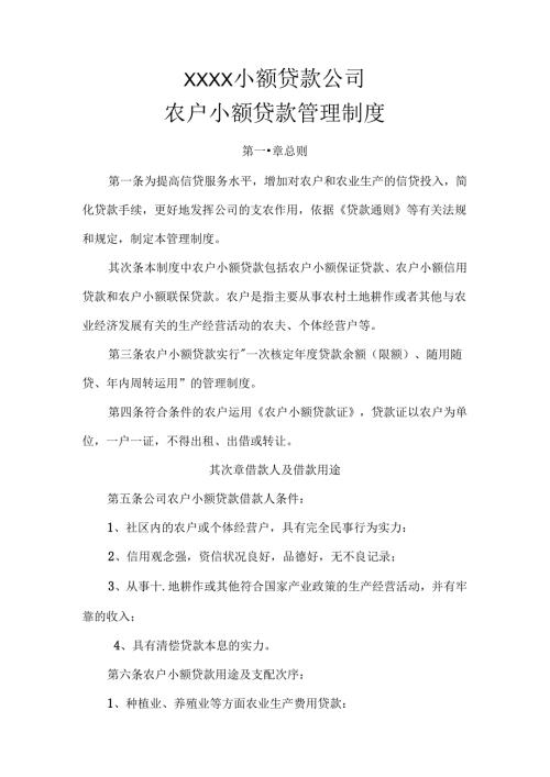 小额贷款公司农户小额贷款管理制度.docx
