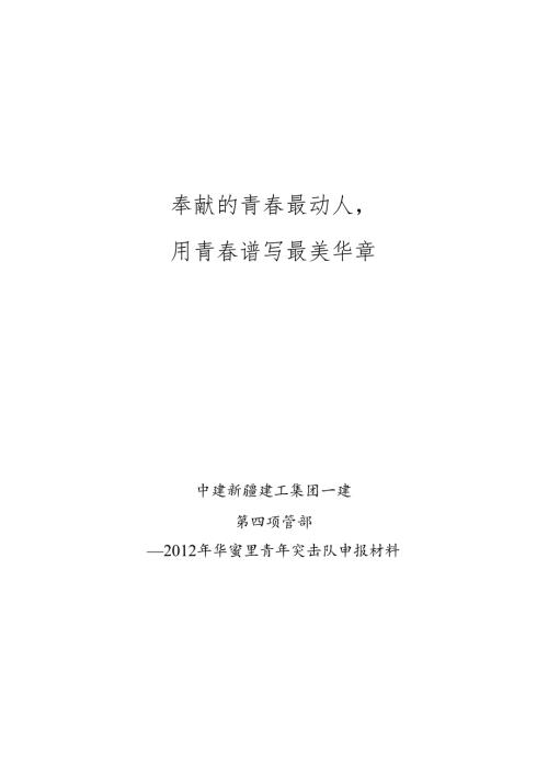 优秀青年突击队申报材料.docx