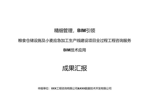 某粮库项目BIM应用成果汇报.docx