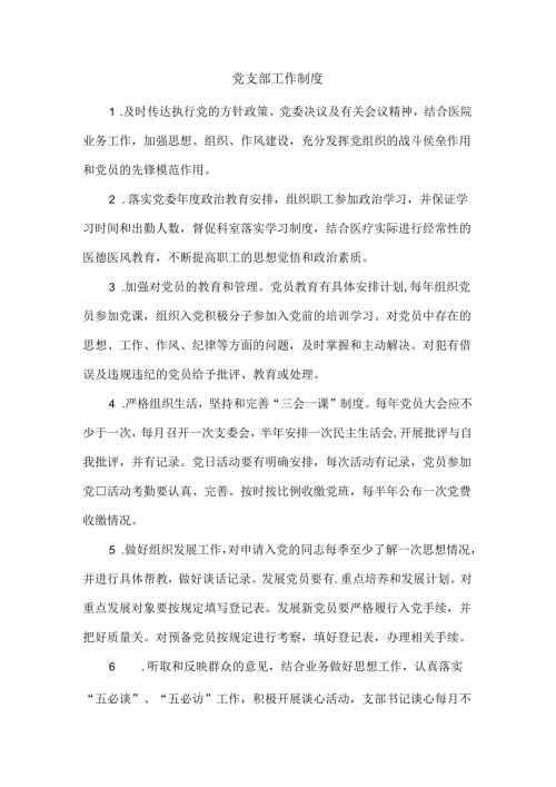 党支部工作制度.docx