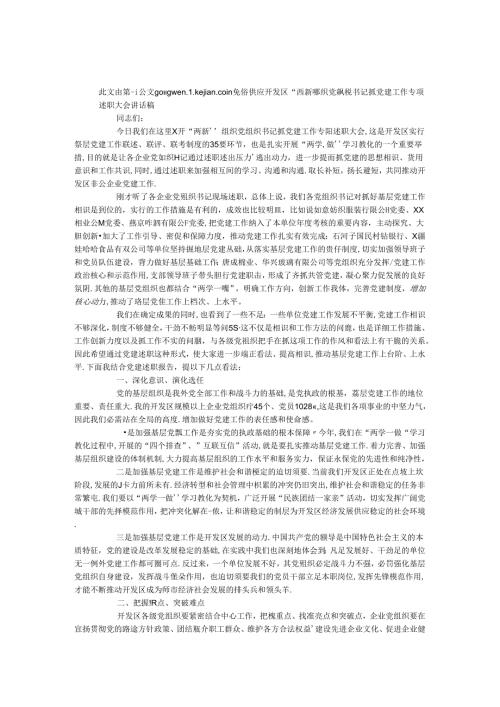 开发区“两新”组织党组织书记抓党建工作专项述职大会讲话稿.docx