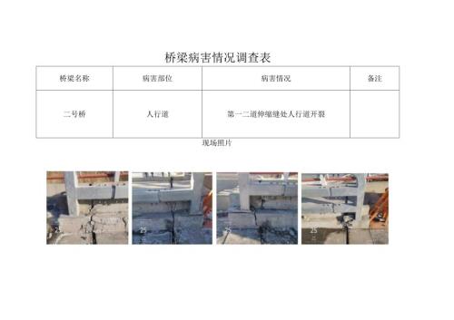 桥梁病害情况调查表.docx