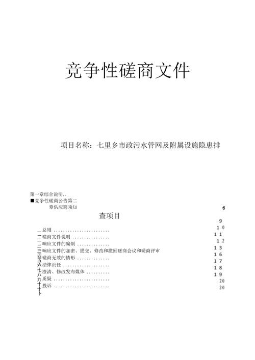 市政污水管网及附属设施隐患排查项目招标文件.docx