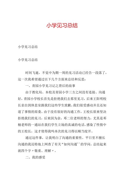小学见习总结.docx