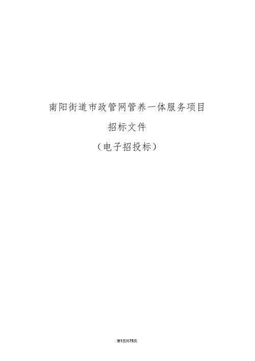 市政管网管养一体服务项目招标文件.docx