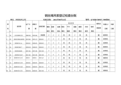 2021.09.13下半年钢丝绳吊索钢丝绳排查.docx