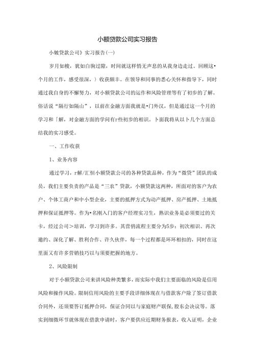 小额贷款公司实习报告.docx