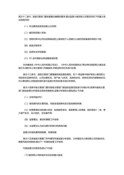 小贷公司风险注意事项.docx