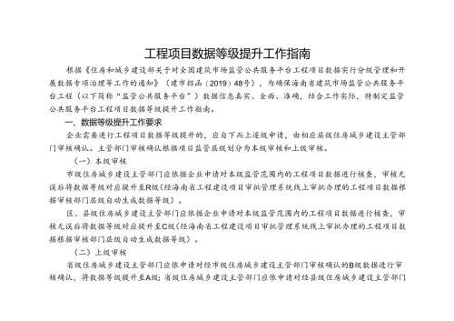 工程项目数据等级提升工作指南.docx