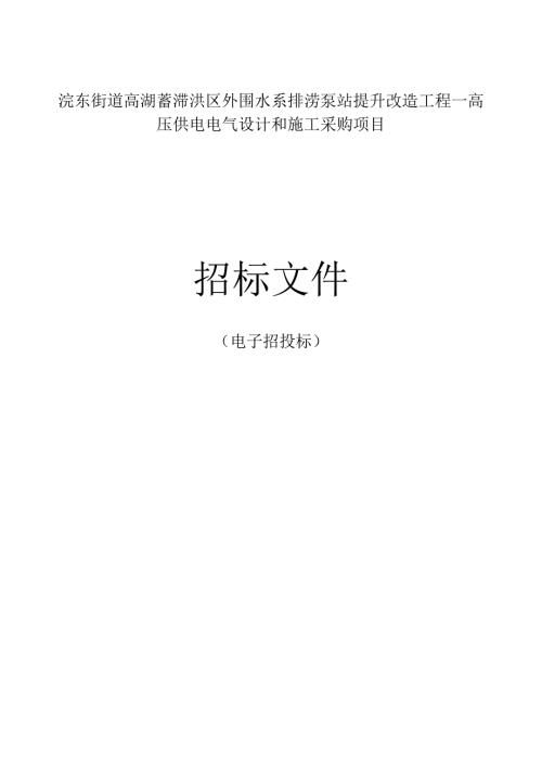 高湖蓄滞洪区外围水系排涝泵站提升改造工程--高压供电电气设计和施工采购项目招标文件.docx