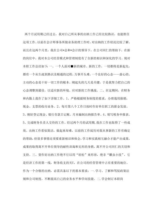 出纳转正申请试用期工作总结.docx