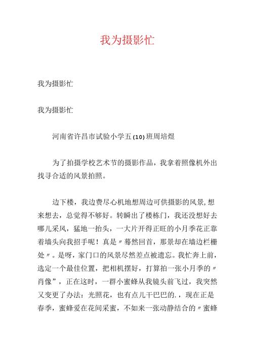 我为摄影忙.docx