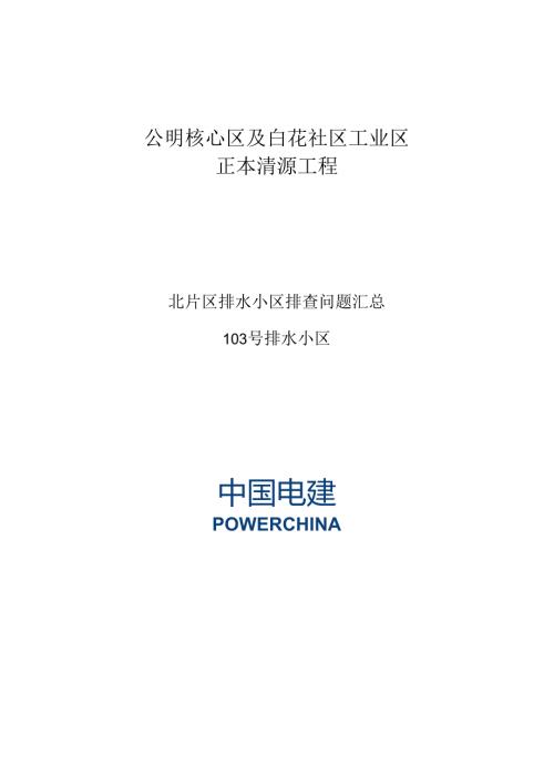 103号排水小区（白图）.docx排查结果.docx