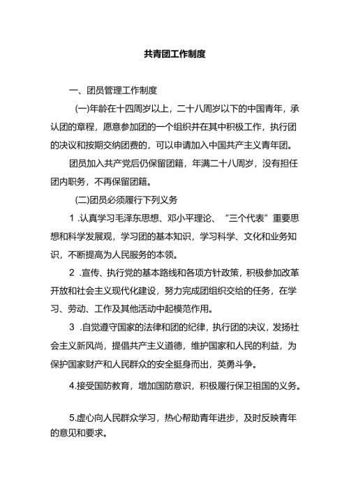 共青团工作制度.docx