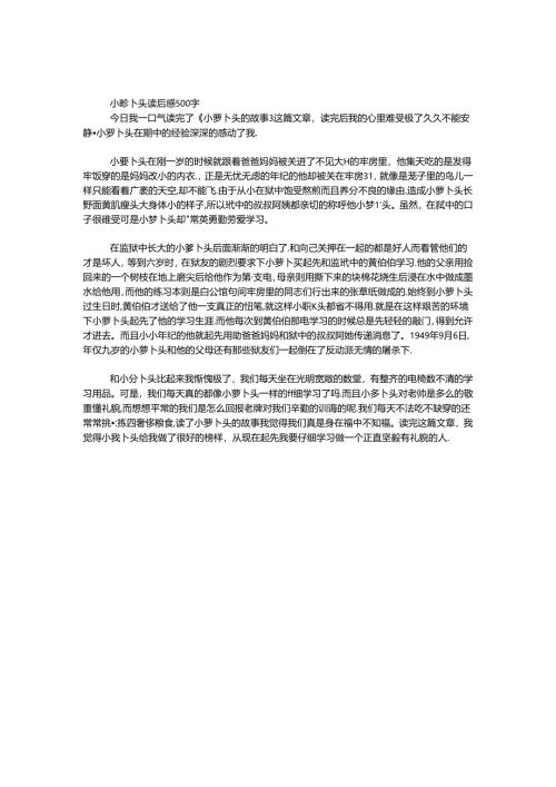 小萝卜头读后感500字.docx