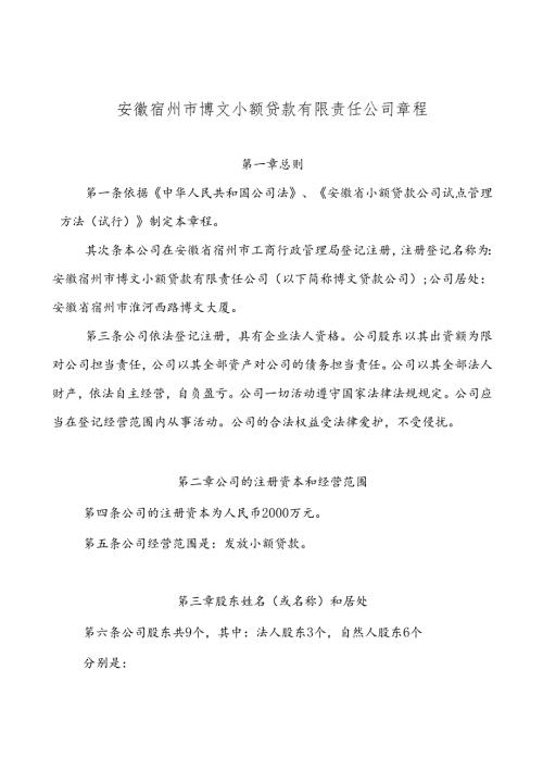 小额贷款公司公司章程.docx