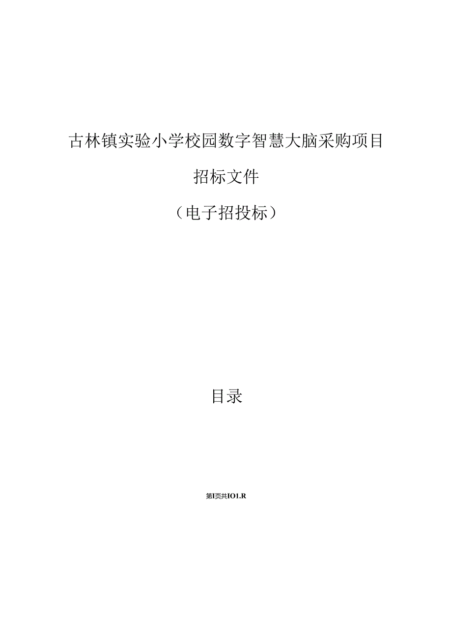 实验小学校园数字智慧大脑采购项目项目招标文件.docx_第1页