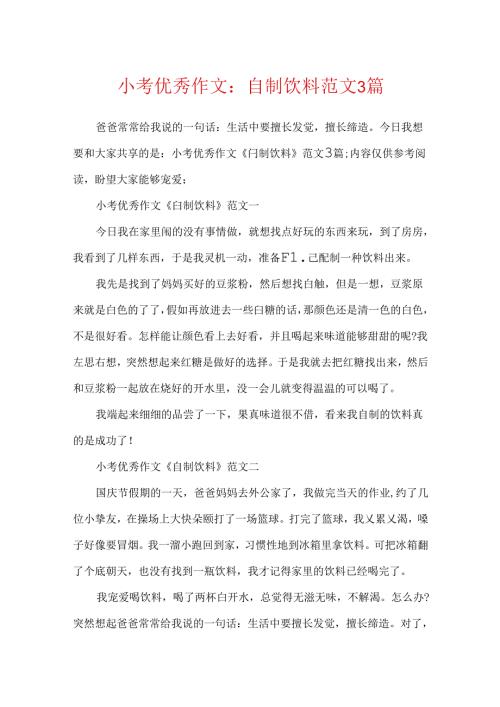 小考优秀作文：自制饮料范文3篇.docx