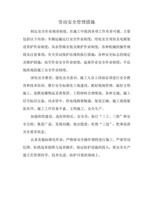劳动安全管理措施.docx