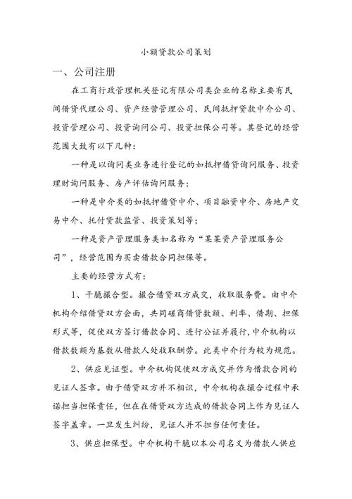 小额贷款公司策划.docx