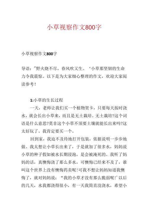小草观察作文800字.docx