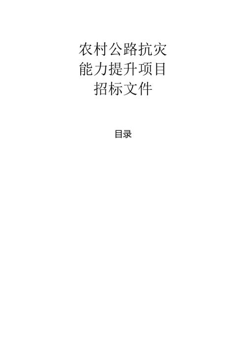 农村公路抗灾能力提升项目招标文件.docx
