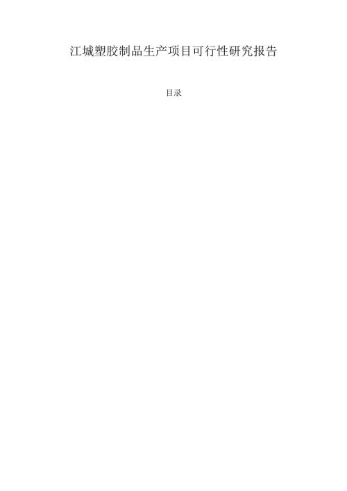 江城塑胶制品生产项目可行性研究报告.docx