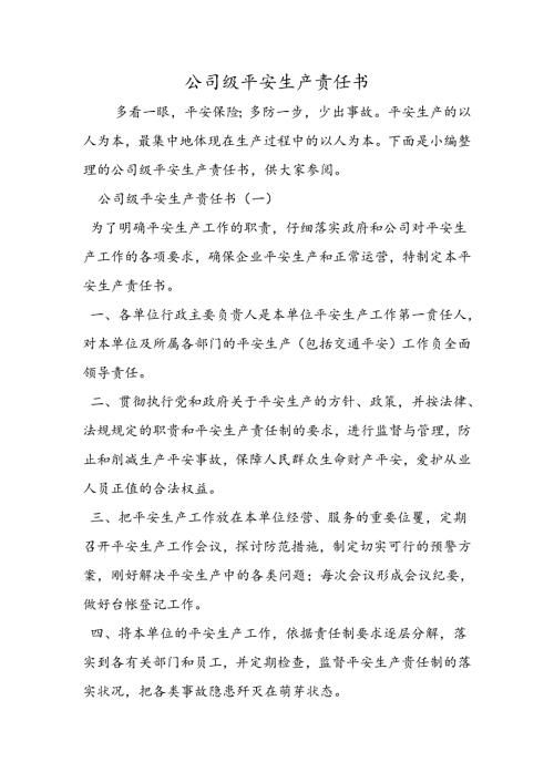 公司级安全生产责任书.docx