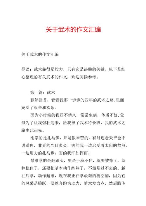 关于武术的作文汇编.docx