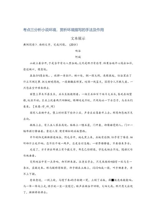 小说阅读考点三Word版含答案.docx