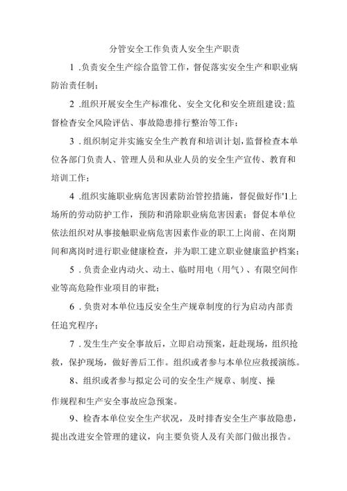 分管安全工作负责人安全生产职责.docx