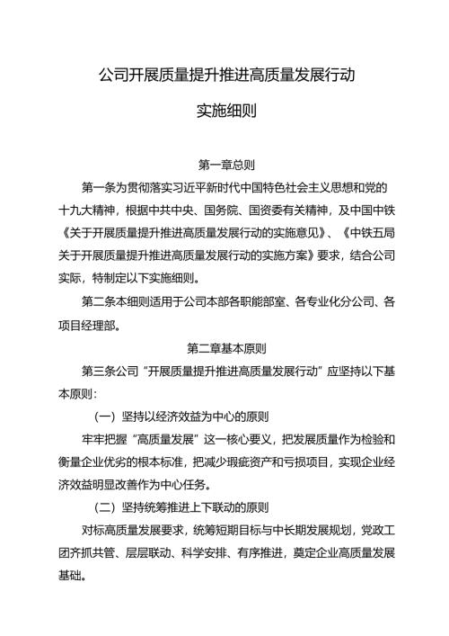 公司开展质量提升 推进高质量发展行动实施细则.docx