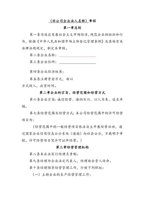 非公司企业法人章程.docx