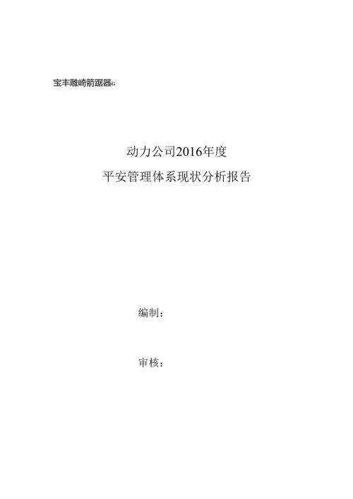 动力公司安全管理体系现状分析报告(终版).docx