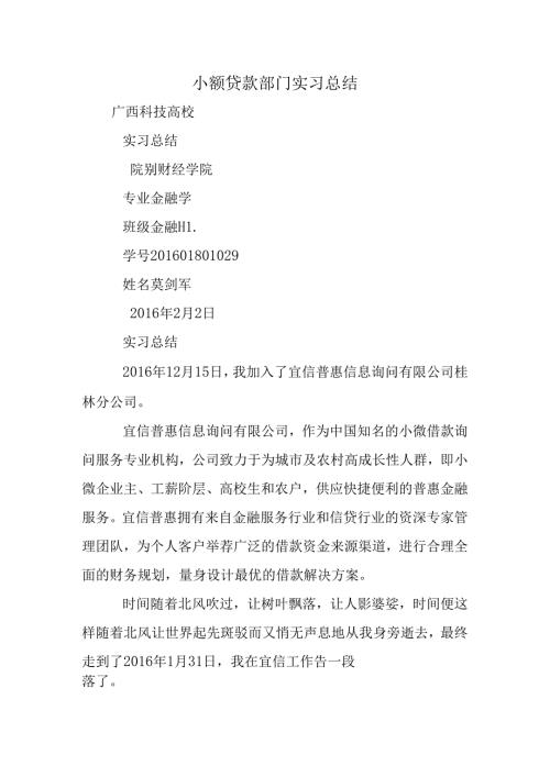 小额贷款部门实习总结.docx