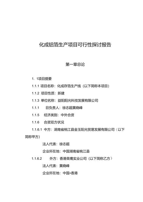 化成铝箔项目可行性研究报告.docx