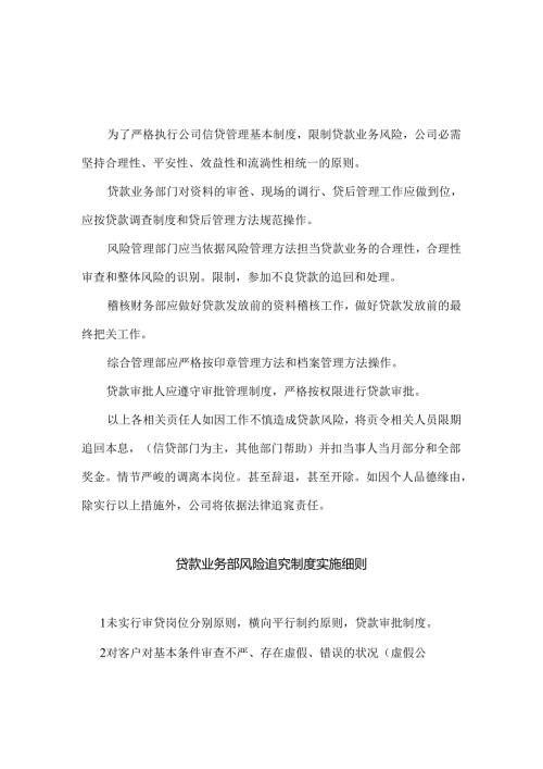 小额贷款公司责任追究制度.docx